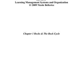 Full Sail University  EDM641  Learning Management Systems and Organization 11  2009  Nicole Bellerice ,[object Object]