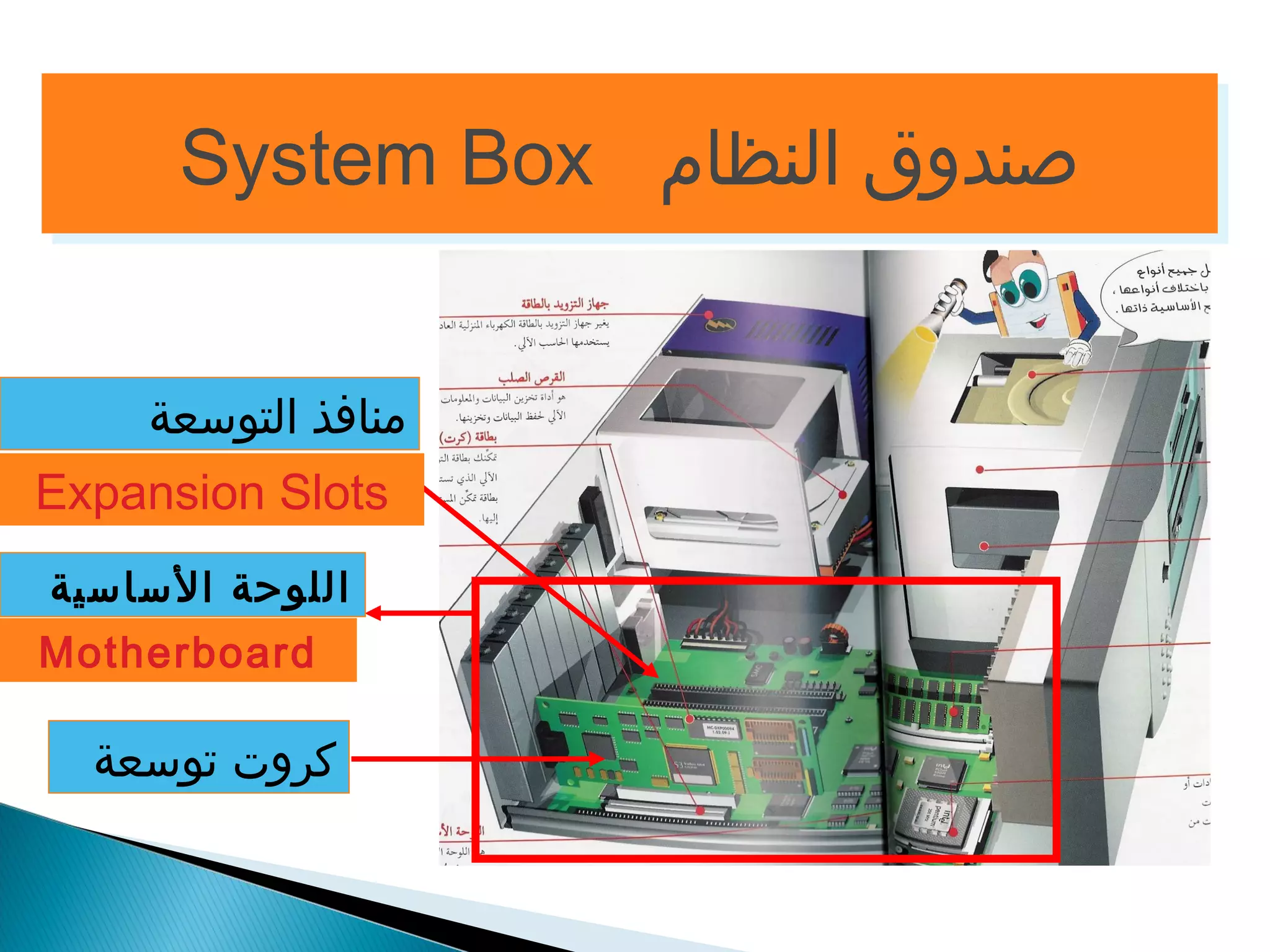SSyysstteemm BBooxx صصننددووقق االلننظظاامم 
منافذ التوسعة 
Expansion Slots 
اللوحة الساسية 
Motherboard 
كروت توسعة 
 