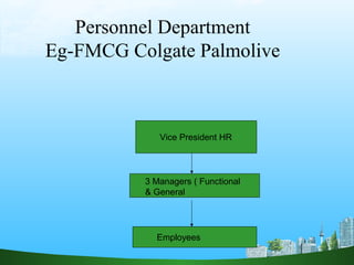 Personnel Department
Eg-FMCG Colgate Palmolive
Vice President HR
3 Managers ( Functional
& General
Employees
 