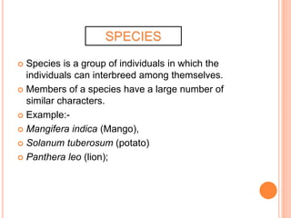  Species is a group of individuals in which the
individuals can interbreed among themselves.
 Members of a species have a large number of
similar characters.
 Example:-
 Mangifera indica (Mango),
 Solanum tuberosum (potato)
 Panthera leo (lion);
SPECIES
 