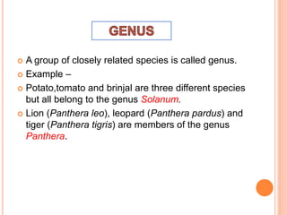  A group of closely related species is called genus.
 Example –
 Potato,tomato and brinjal are three different species
but all belong to the genus Solanum.
 Lion (Panthera leo), leopard (Panthera pardus) and
tiger (Panthera tigris) are members of the genus
Panthera.
 