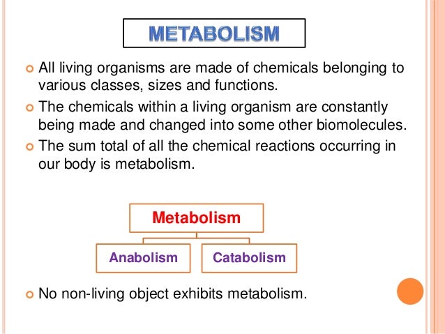 diversity in the living world Diversity in the living world mock test is brought to you by kailasha foundation- fun & learn portal to help you boost yourself for neet exam with our. diversity in the living world Diversity in the living world mock test is brought to you by kailasha foundation- fun & learn portal to help you boost yourself for neet exam with our.
