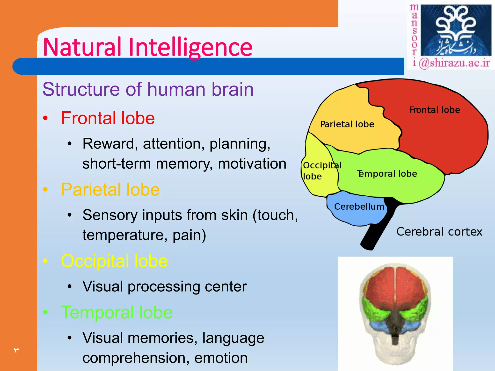 3
Natural Intelligence
Structure of human brain
• Frontal lobe
• Reward, attention, planning,
short-term memory, motivation
• Parietal lobe
• Sensory inputs from skin (touch,
temperature, pain)
• Occipital lobe
• Visual processing center
• Temporal lobe
• Visual memories, language
comprehension, emotion
 