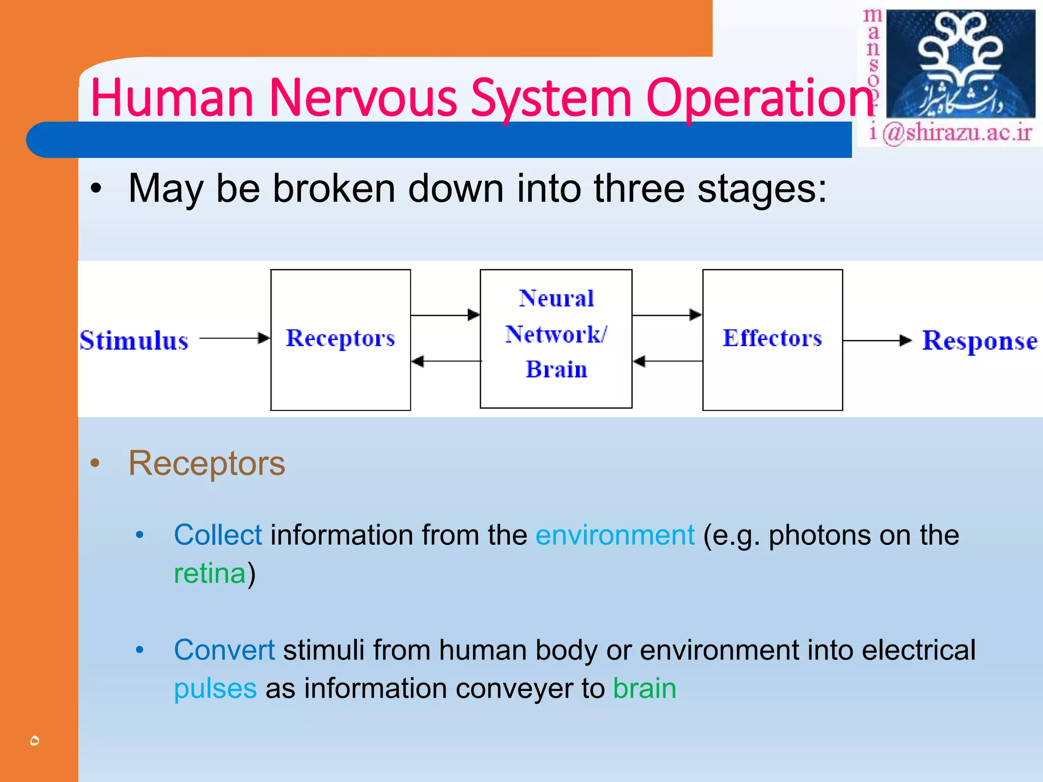 5
Human Nervous System Operation
• May be broken down into three stages:
• Receptors
• Collect information from the environment (e.g. photons on the
retina)
• Convert stimuli from human body or environment into electrical
pulses as information conveyer to brain
 