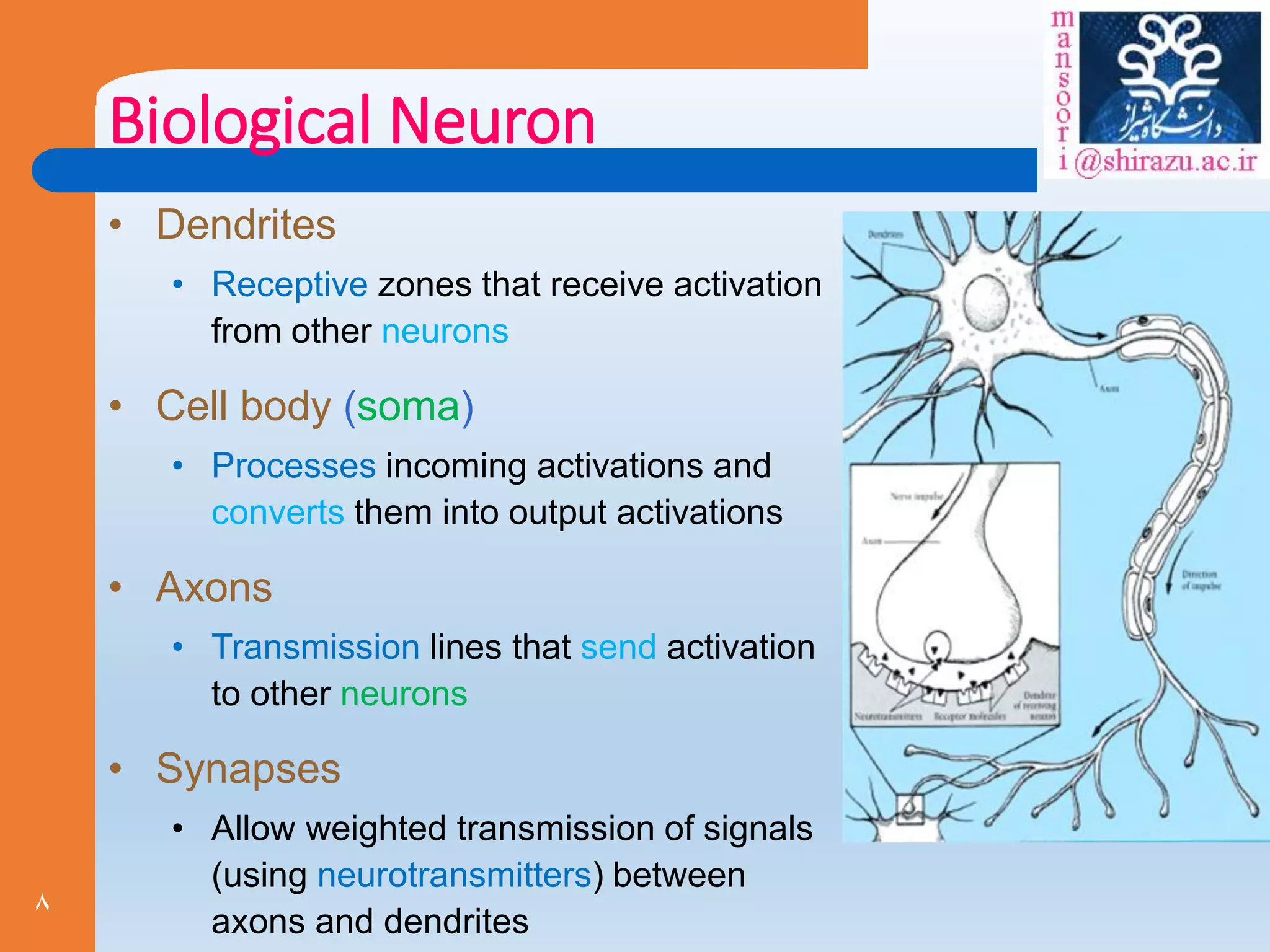 8
Biological Neuron
• Dendrites
• Receptive zones that receive activation
from other neurons
• Cell body (soma)
• Processes incoming activations and
converts them into output activations
• Axons
• Transmission lines that send activation
to other neurons
• Synapses
• Allow weighted transmission of signals
(using neurotransmitters) between
axons and dendrites
 