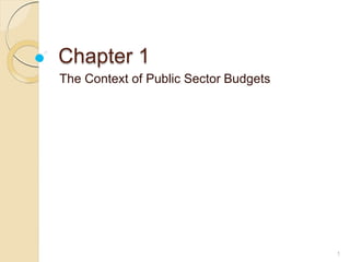 Chapter 1
The Context of Public Sector Budgets
1
 