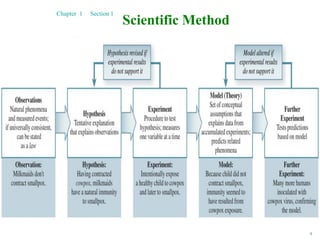 9
Scientific Method
Chapter 1 Section 1
 