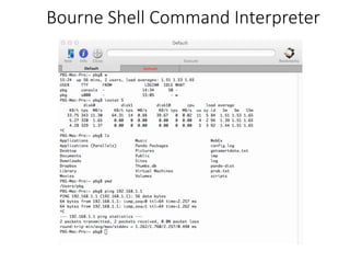 Bourne Shell Command Interpreter
 