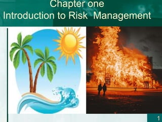 Chapter one
Introduction to Risk Management
1
 