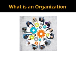 What is an Organization
 
