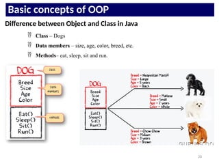 Comprehensive Introduction to Object Oriented Programming in Java | PPTX