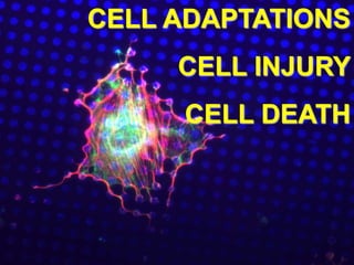 CELL ADAPTATIONS
CELL INJURY
CELL DEATH
 
