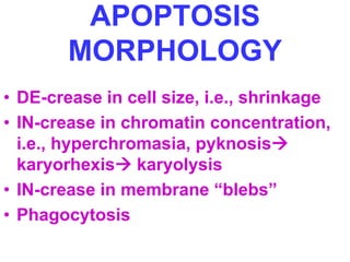Ch1-Cell.ppt