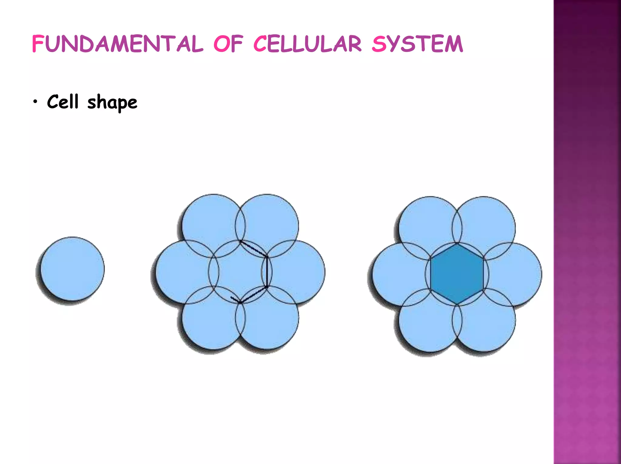 FUNDAMENTAL OF CELLULAR SYSTEM
• Cell shape
 
