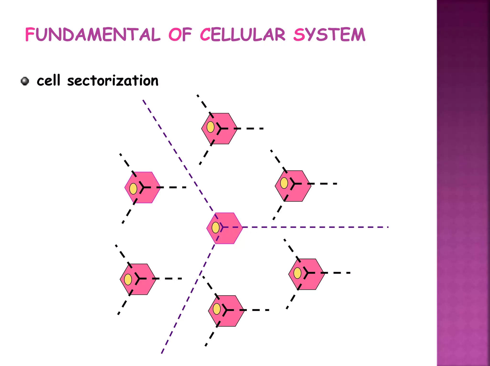 FUNDAMENTAL OF CELLULAR SYSTEM
cell sectorization
 