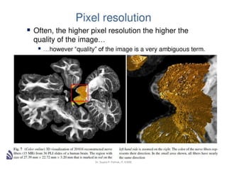 Dr. Sujata P. Pathak, IT, KJSSE
 