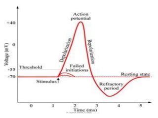 Dr. Sujata P. Pathak, IT, KJSSE
 