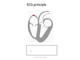 ECG principle
Dr. Sujata P. Pathak, IT, KJSSE
 
