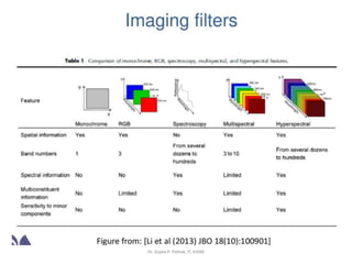 Dr. Sujata P. Pathak, IT, KJSSE
 