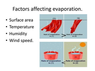 Factors affecting evaporation.
• Surface area
• Temperature
• Humidity
• Wind speed.
 