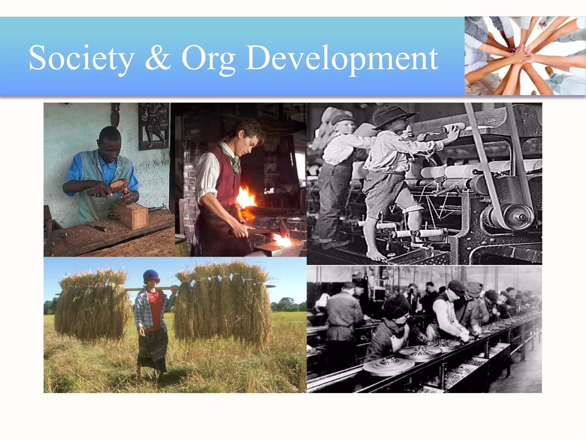 Society & Org Development 