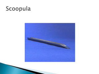 Scoopula