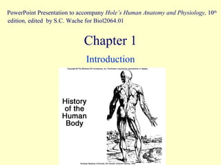 Chapter 1 Introduction PowerPoint Presentation to accompany  Hole’s Human Anatomy and Physiology,  10 th  edition ,  edited   by S.C. Wache for Biol2064.01 