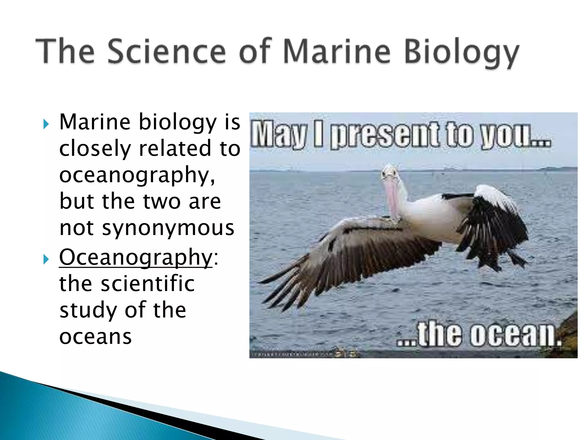 Chapter 1 - The Science of Marine Biology | PPTX