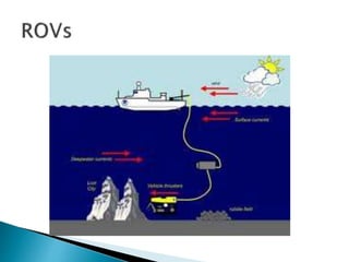 Chapter 1 - The Science of Marine Biology | PPTX