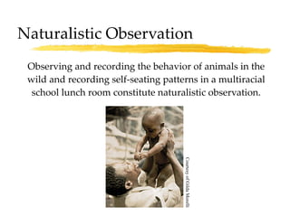 Naturalistic Observation Observing and recording the behavior of animals in the wild and recording self-seating patterns in a multiracial school lunch room constitute naturalistic observation. Courtesy of Gilda Morelli 