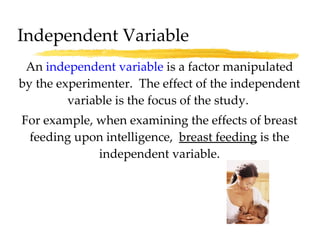 An  independent variable  is a factor manipulated by the experimenter.  The effect of the independent variable is the focus of the study.  For example, when examining the effects of breast feeding upon intelligence,  breast feeding  is the independent variable. Independent Variable 