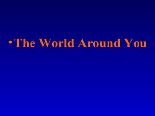 •The World Around You
 
