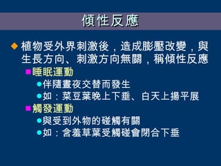 傾性反應 植物受外界刺激後，造成膨壓改變，與生長方向、刺激方向無關，稱傾性反應 睡眠運動 伴隨晝夜交替而發生 如：菜豆葉晚上下垂、白天上揚平展 觸發運動 與受到外物的碰觸有關 如：含羞草葉受觸碰會閉合下垂 
