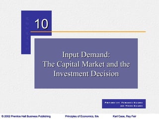 Input Demand: The Capital Market and the Investment Decision 