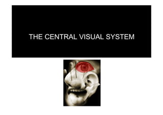 THE CENTRAL VISUAL SYSTEM
 