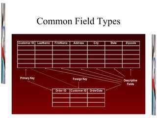 Common Field Types Primary Key Descriptive Fields Foreign Key 