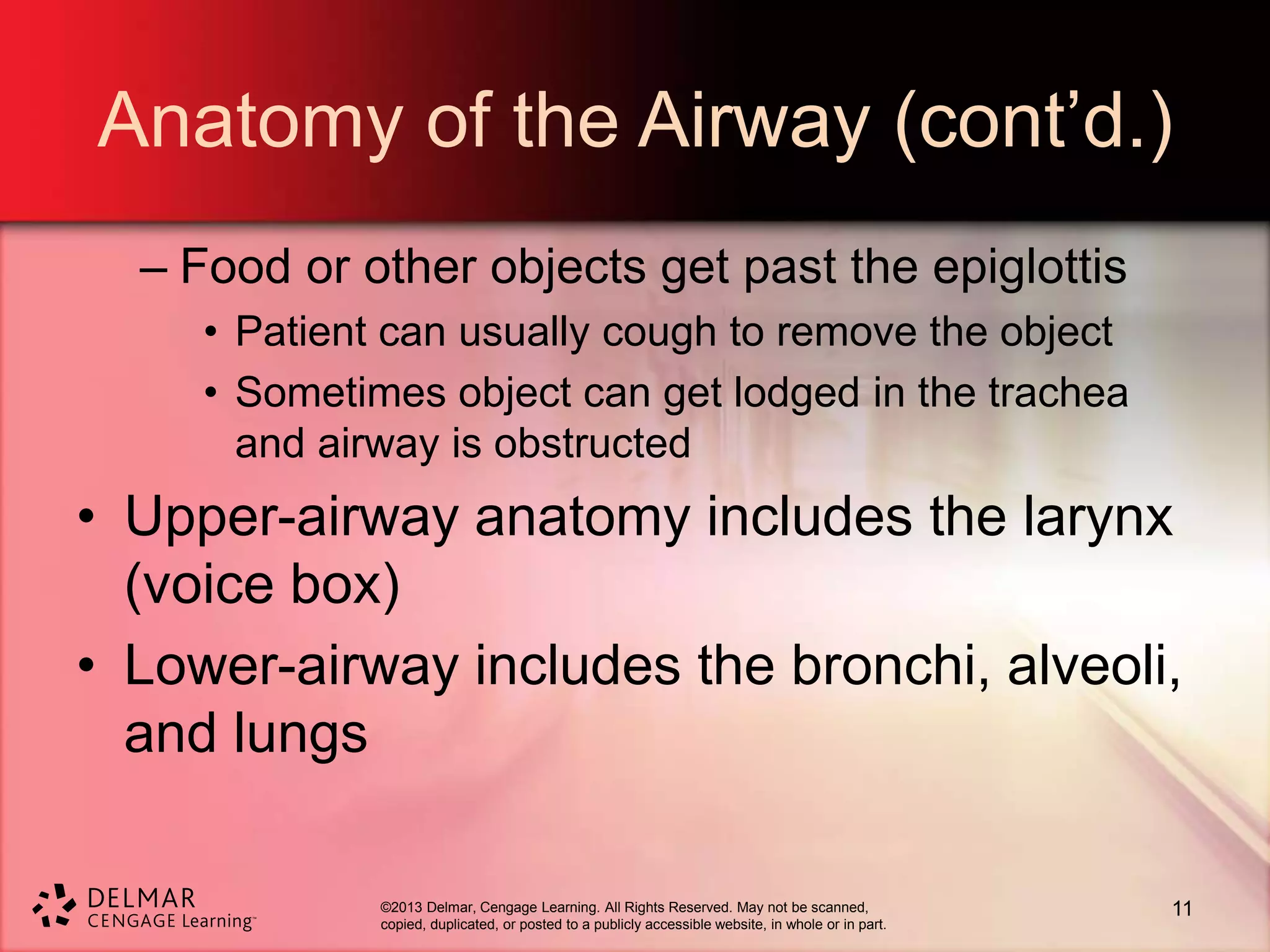 ©2013 Delmar, Cengage Learning. All Rights Reserved. May not be scanned,
copied, duplicated, or posted to a publicly accessible website, in whole or in part.
Anatomy of the Airway (cont’d.)
– Food or other objects get past the epiglottis
• Patient can usually cough to remove the object
• Sometimes object can get lodged in the trachea
and airway is obstructed
• Upper-airway anatomy includes the larynx
(voice box)
• Lower-airway includes the bronchi, alveoli,
and lungs
11
 