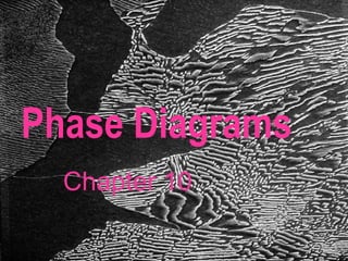 Phase Diagrams 
Chapter 10 
 