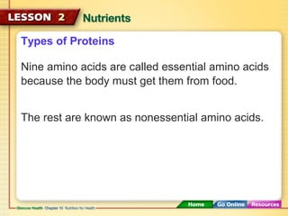 Types of Proteins 
Nine amino acids are called essential amino acids 
because the body must get them from food. 
The rest are known as nonessential amino acids. 
 