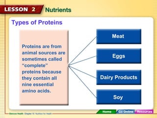 Types of Proteins 
Proteins are from 
animal sources are 
sometimes called 
“complete” 
proteins because 
they contain all 
nine essential 
amino acids. 
Meat 
Eggs 
Dairy Products 
Soy 
 