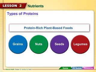 Types of Proteins 
Protein-Rich Plant-Based Foods 
Grains Nuts Seeds Legumes 
 