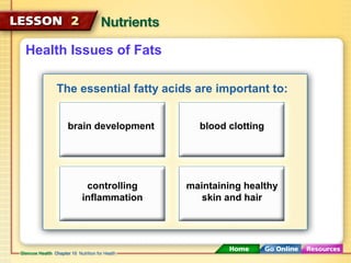 Health Issues of Fats 
The essential fatty acids are important to: 
brain development blood clotting 
controlling 
inflammation 
maintaining healthy 
skin and hair 
 