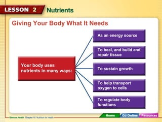 Giving Your Body What It Needs 
Your body uses 
nutrients in many ways: 
As an energy source 
To heal, and build and 
repair tissue 
To sustain growth 
To help transport 
oxygen to cells 
To regulate body 
functions 
 