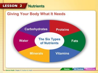 Giving Your Body What It Needs 
Carbohydrates Proteins 
The Six Types 
of Nutrients 
Fats 
Minerals Vitamins 
Water 
 