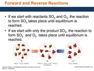 General, Organic, and Biological Chemistry: Structures of Life, 5/e
Karen C. Timberlake
© 2016 Pearson Education, Inc.
Forward and Reverse Reactions
• If we start with reactants SO2 and O2, the reaction
to form SO3 takes place until equilibrium is
reached.
• If we start with only the product SO3, the reaction to
form SO2 and O2 takes place until equilibrium is
reached.
 