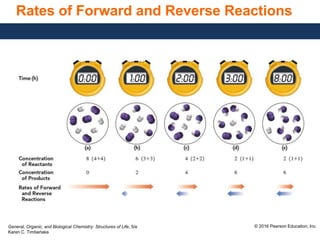General, Organic, and Biological Chemistry: Structures of Life, 5/e
Karen C. Timberlake
© 2016 Pearson Education, Inc.
Rates of Forward and Reverse Reactions
 