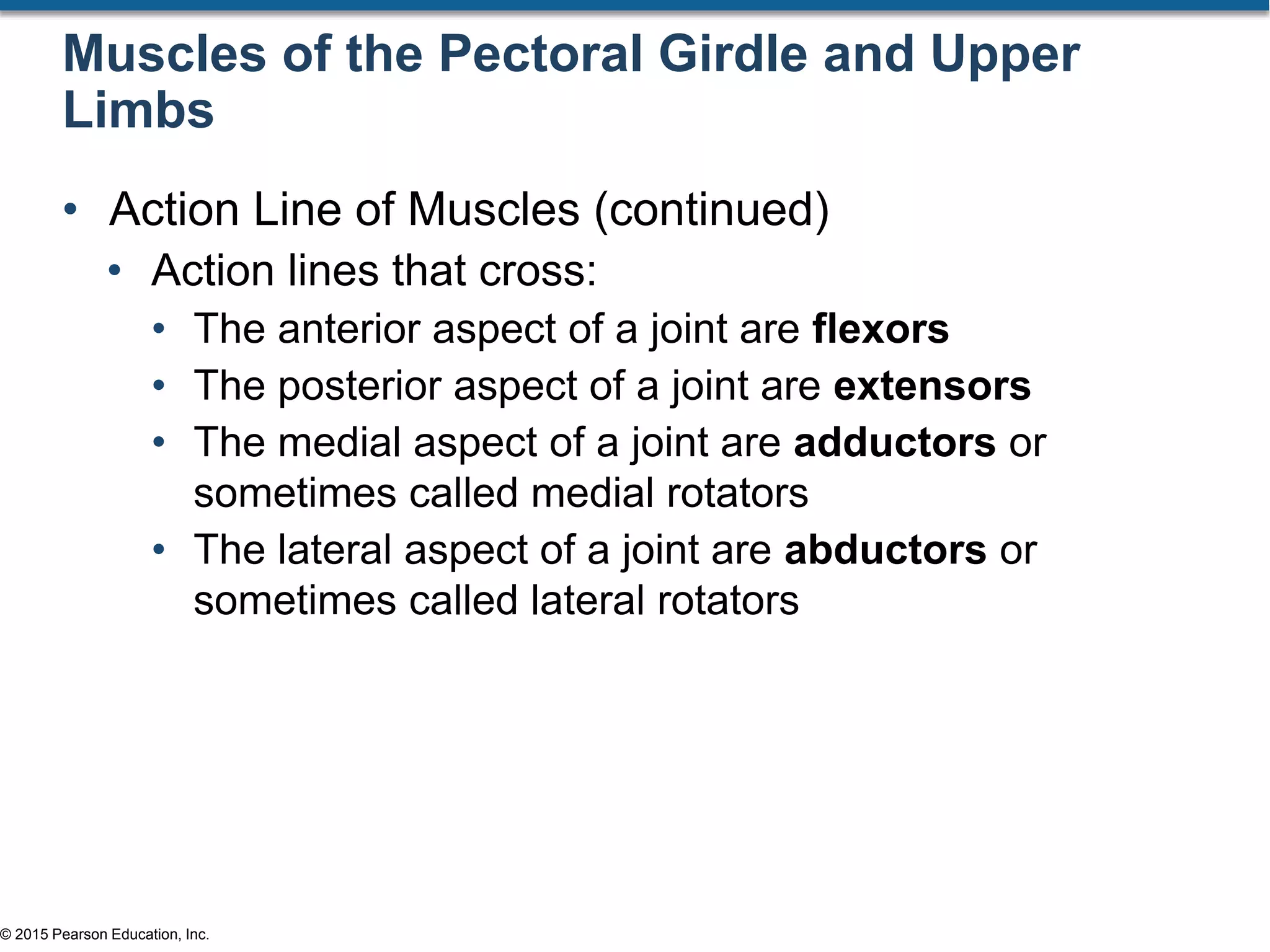 © 2015 Pearson Education, Inc.
Muscles of the Pectoral Girdle and Upper
Limbs
• Action Line of Muscles (continued)
• Action lines that cross:
• The anterior aspect of a joint are flexors
• The posterior aspect of a joint are extensors
• The medial aspect of a joint are adductors or
sometimes called medial rotators
• The lateral aspect of a joint are abductors or
sometimes called lateral rotators
 