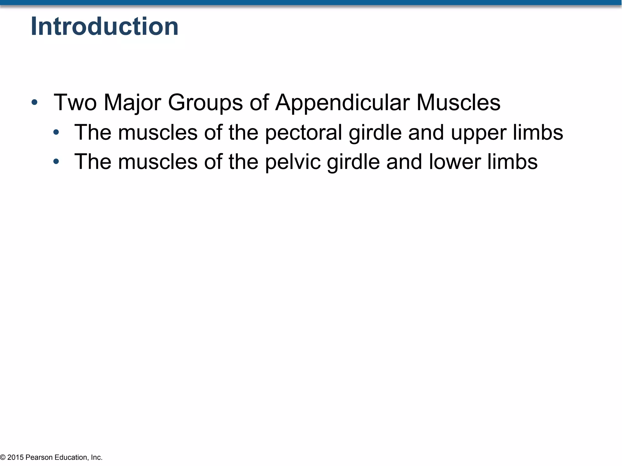 © 2015 Pearson Education, Inc.
Introduction
• Two Major Groups of Appendicular Muscles
• The muscles of the pectoral girdle and upper limbs
• The muscles of the pelvic girdle and lower limbs
 