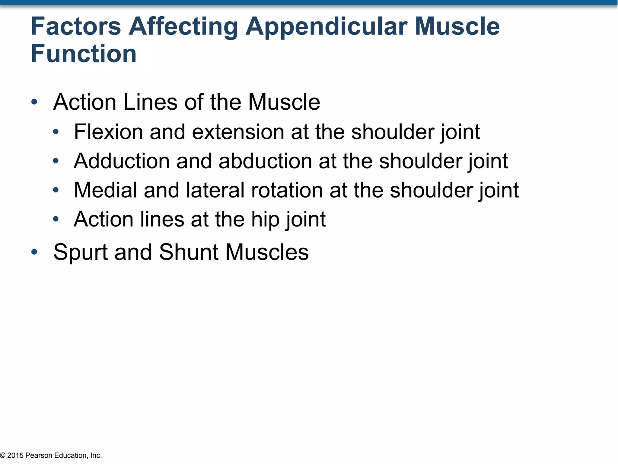 © 2015 Pearson Education, Inc.
Factors Affecting Appendicular Muscle
Function
• Action Lines of the Muscle
• Flexion and extension at the shoulder joint
• Adduction and abduction at the shoulder joint
• Medial and lateral rotation at the shoulder joint
• Action lines at the hip joint
• Spurt and Shunt Muscles
 