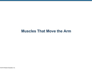 © 2015 Pearson Education, Inc.
Muscles That Move the Arm
 